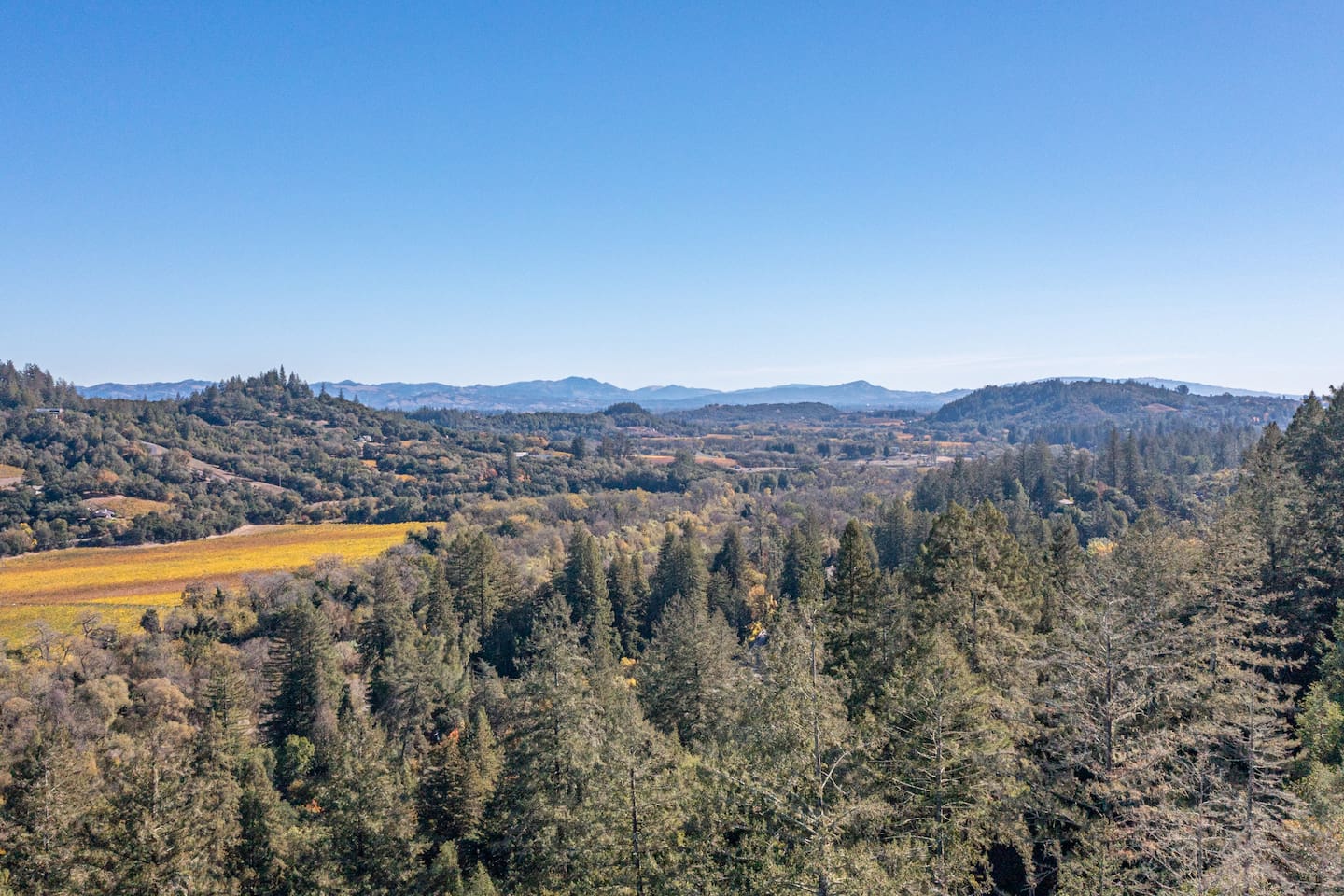 View the lush forest from above - an aerial shot you don't want to miss.