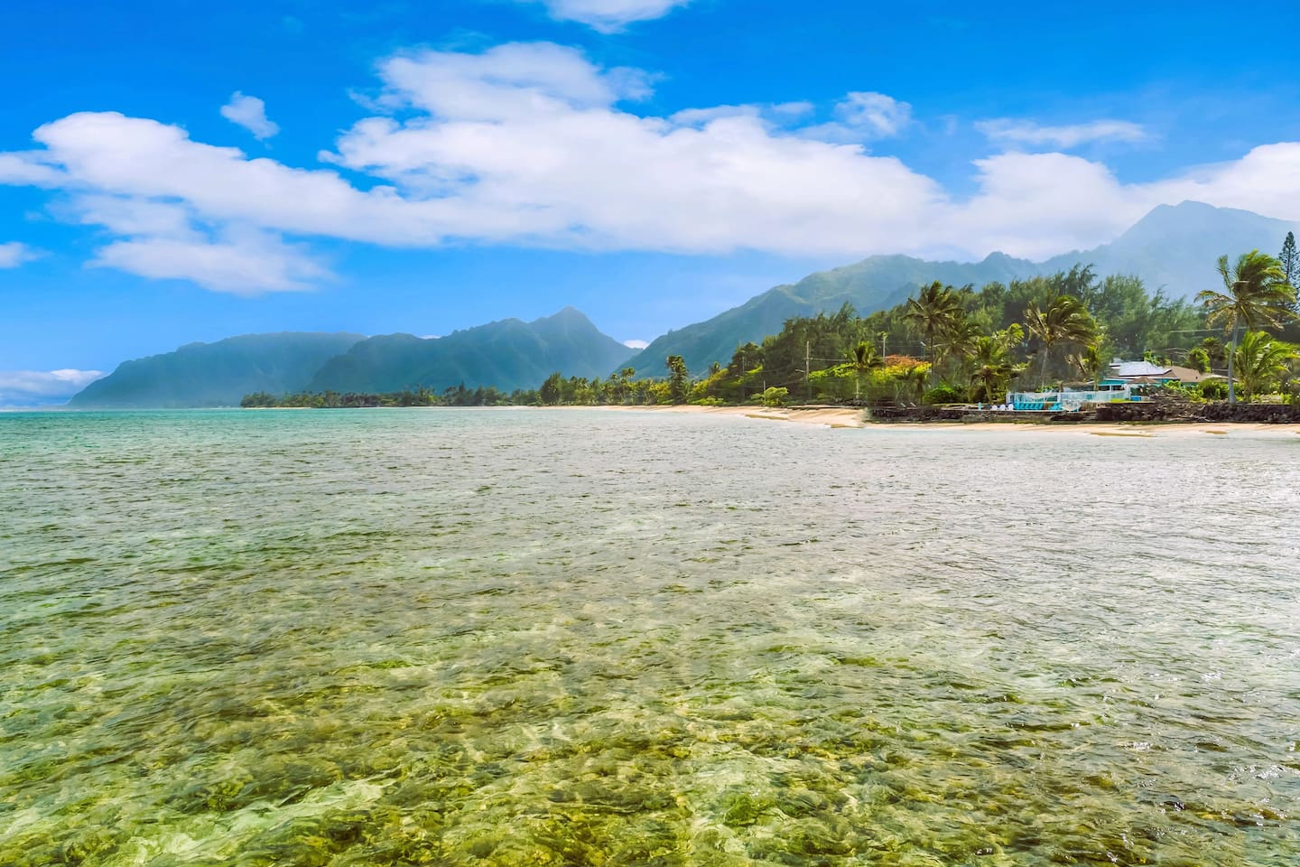 Home is perched on a waist-deep crystal-clear snorkeling reef with the same tallest ocean cliffs where all the Jurassic Park movies were filmed.