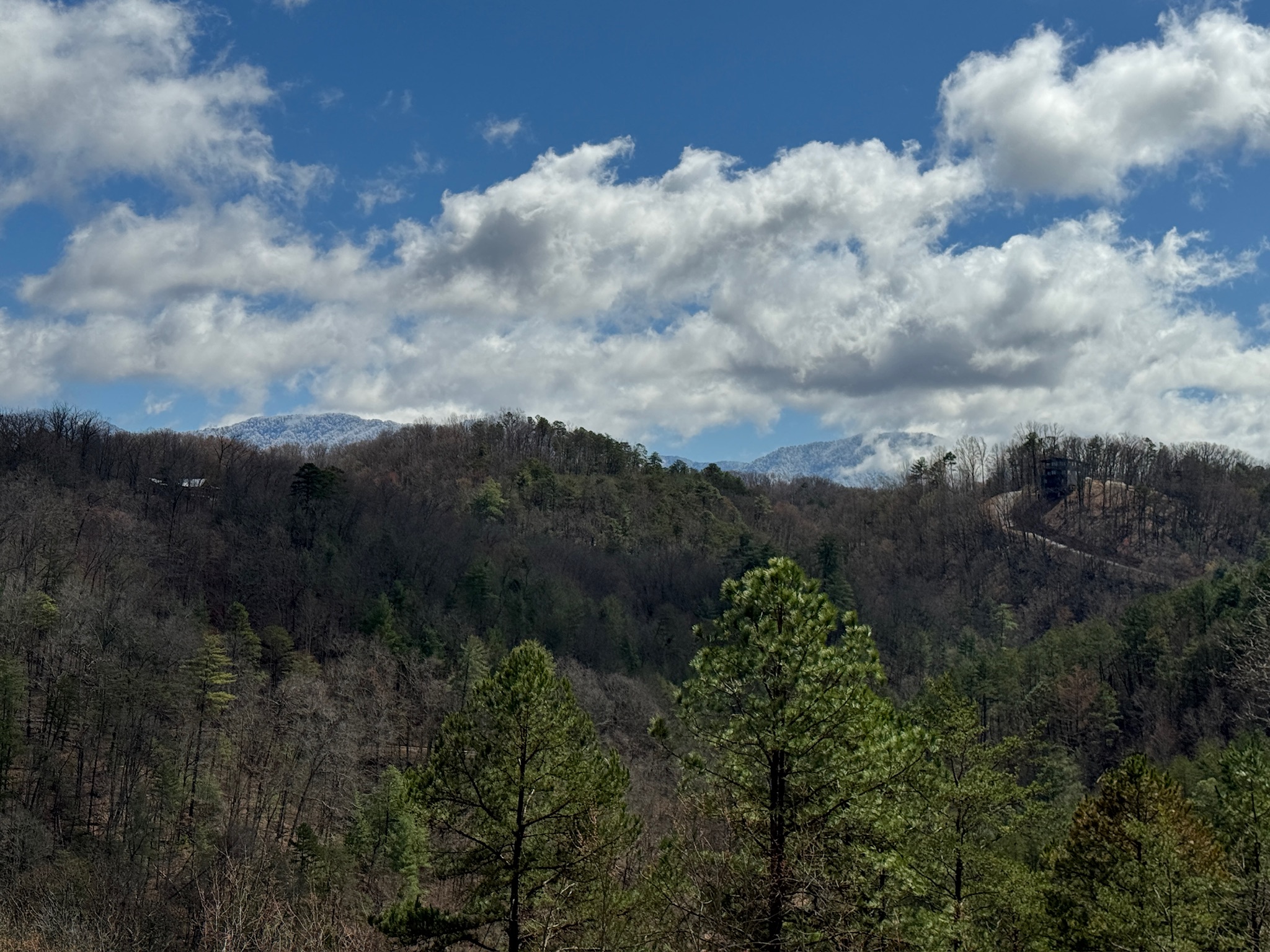 View on a Spring morning