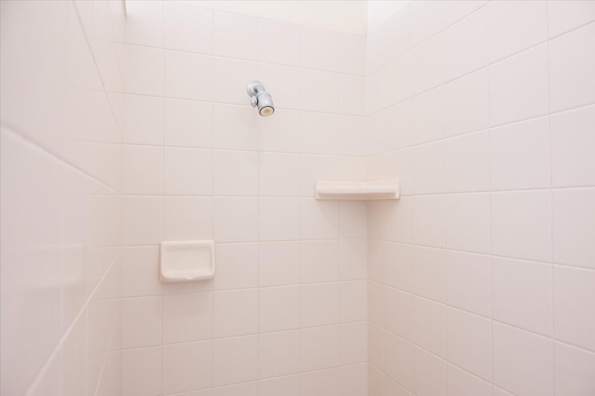 Primary ensuite- step in shower