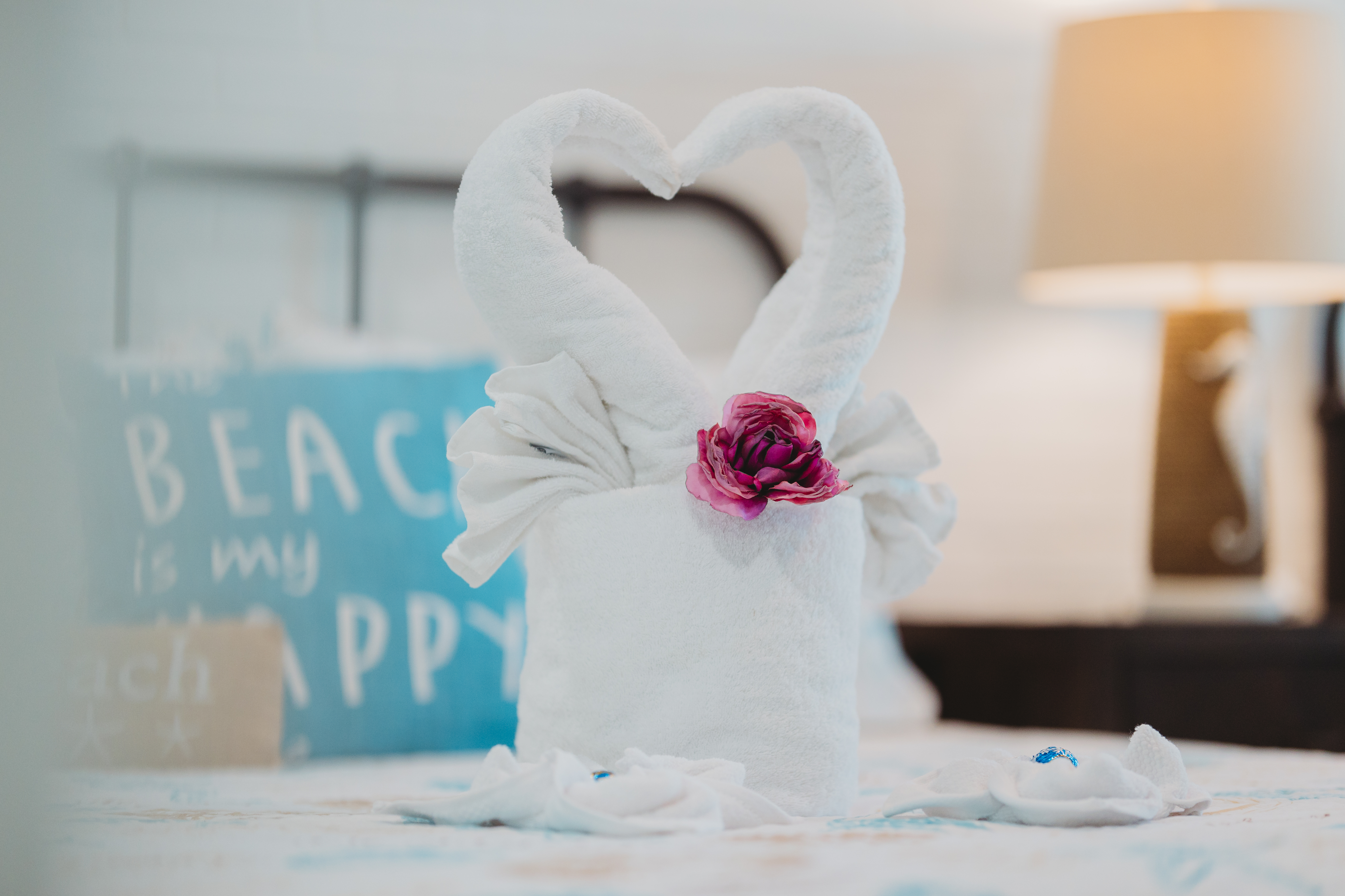 Hidden Treasures at The Summit - Free Beach Service in Season host portfolio