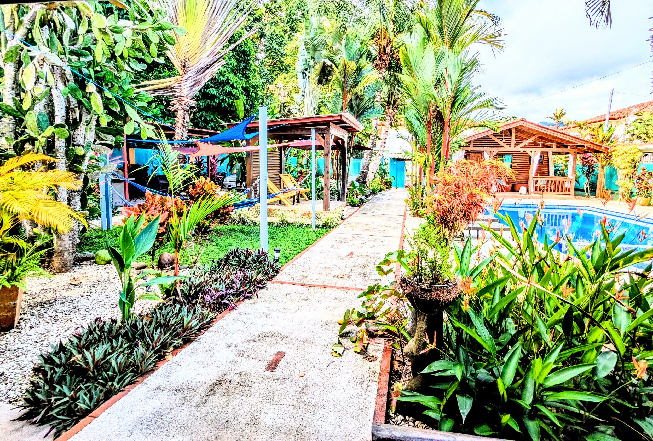 Zenergy Garden and pool walkway