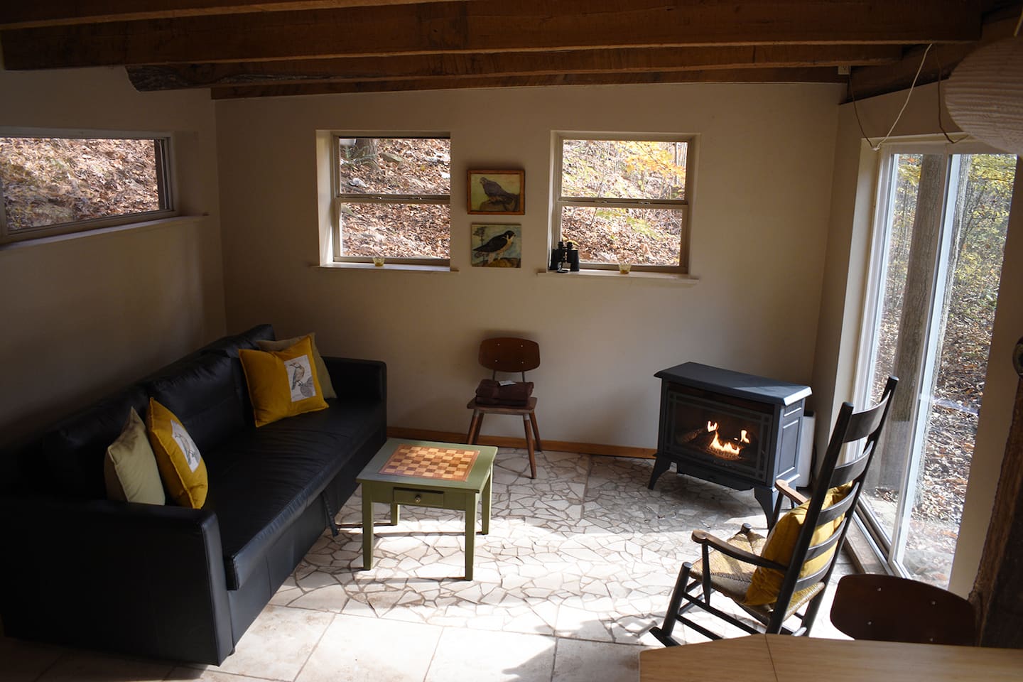 Living Room pull out couch