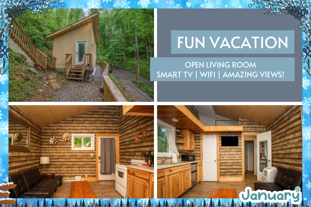 This cozy cabin features an open layout and all the essentials