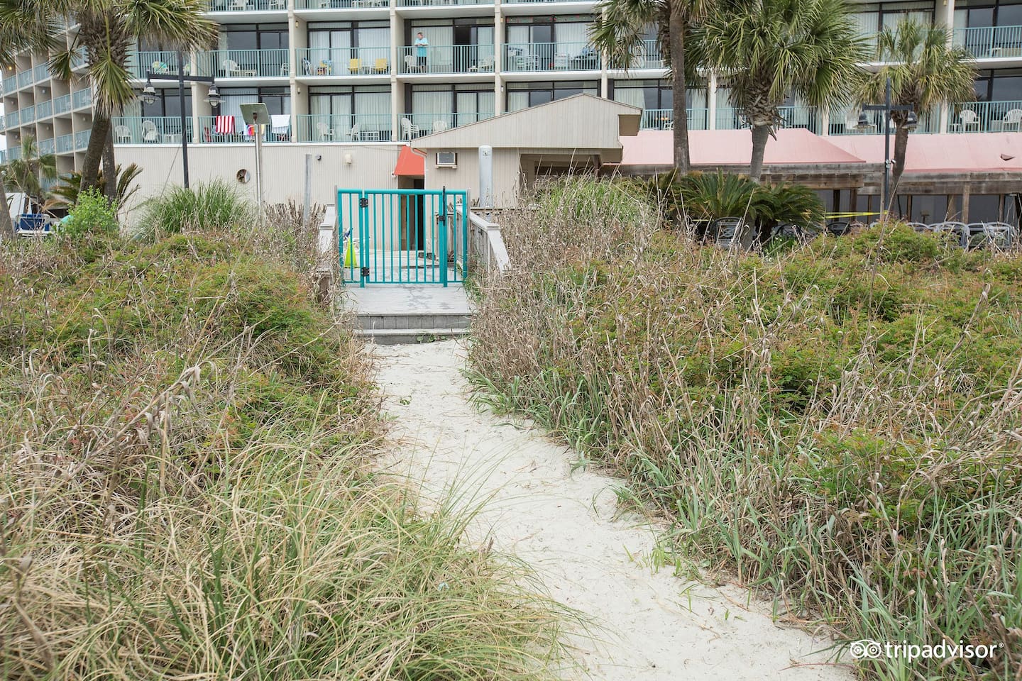 Direct access to sand, sun and the ocean.