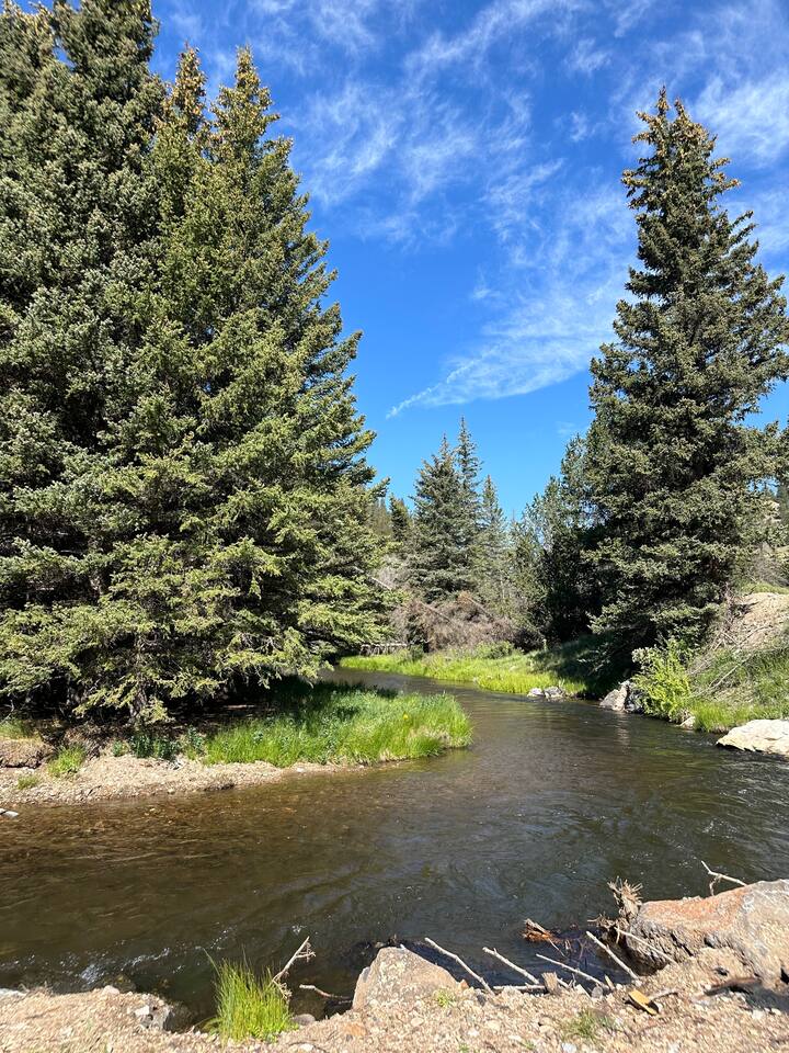 fly fishing and birding in Costilla