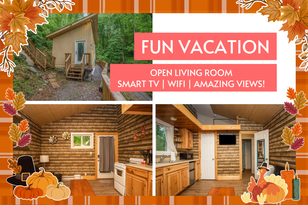 This cozy cabin features an open layout and all the essentials