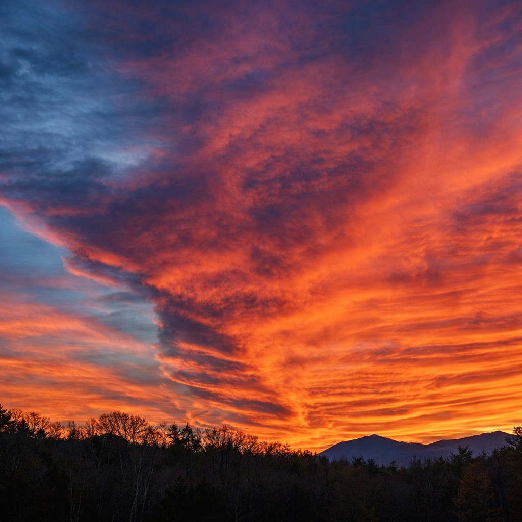 Designed for gathering, celebration, and unforgettable golden hours ✨
Private acreage. Expansive skies. Sunset-facing decks.
Summit House by Everwild Retreats — opening March 2026.