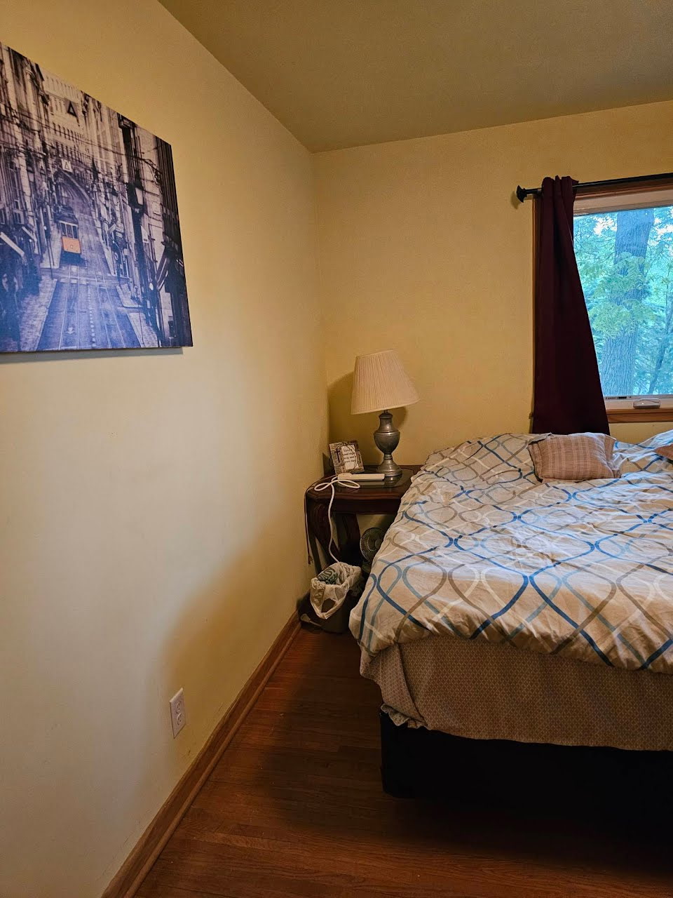 King bed with Roku smart TV