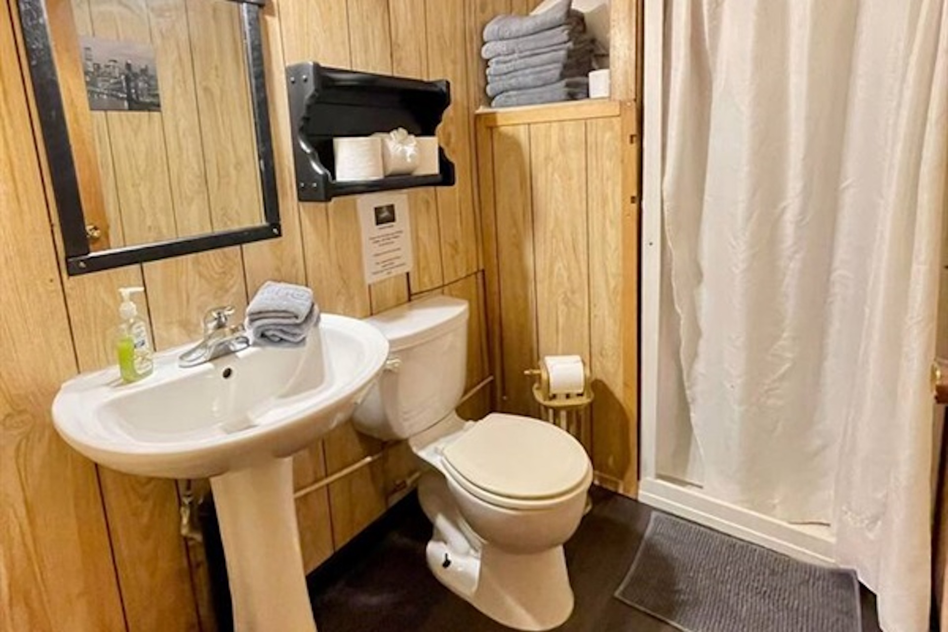 Bathroom with shower, toilet and pedestal sink