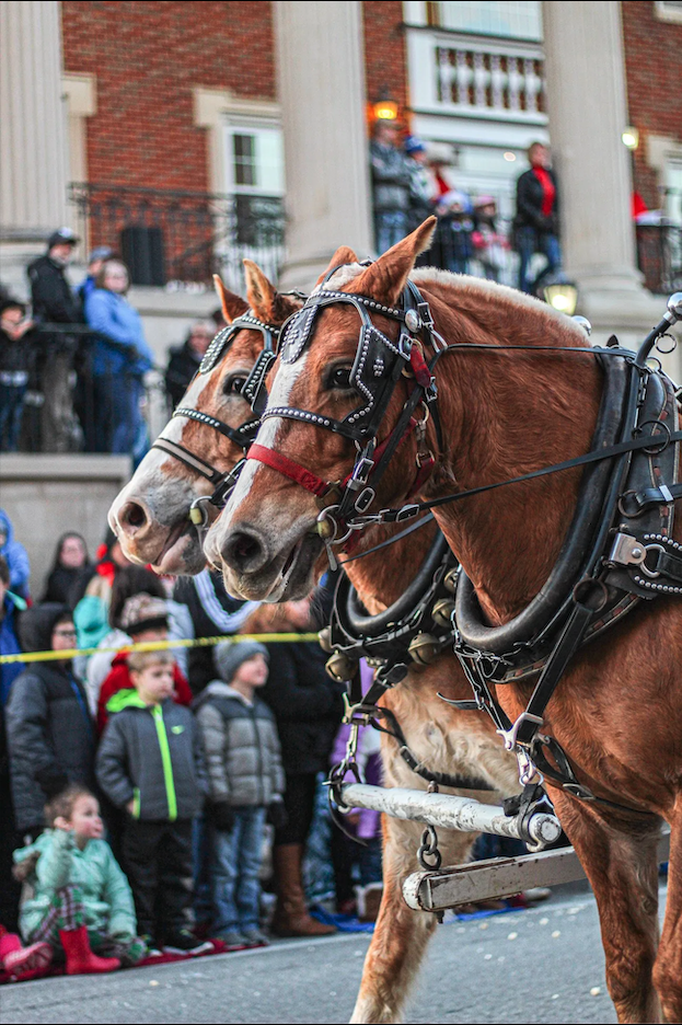 Enjoy downtown Versailles’ Parade with horse carriages!