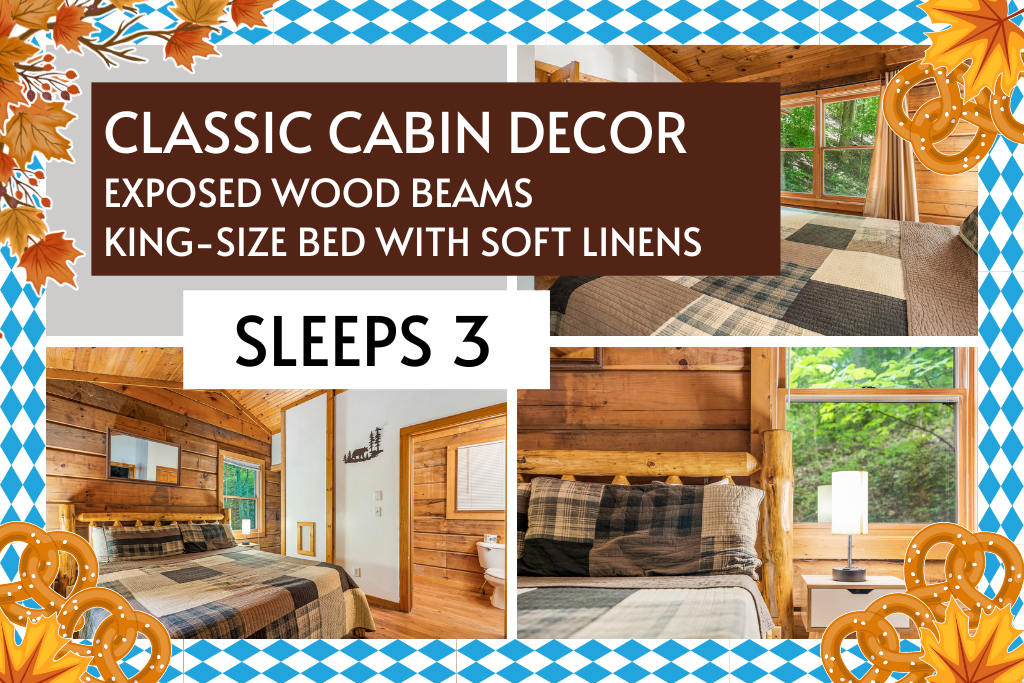 Classic cabin design meets modern comfort—sleeps 3 with ease