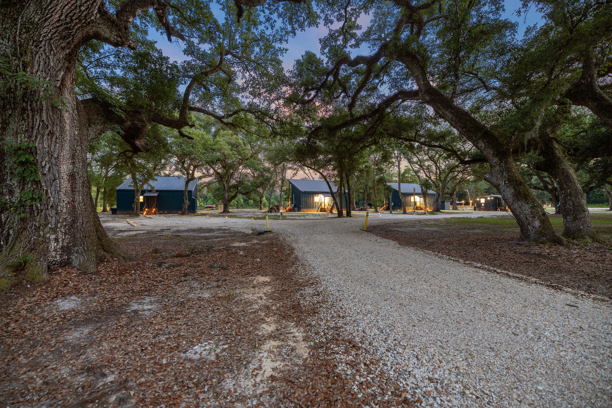 Live Oak Park