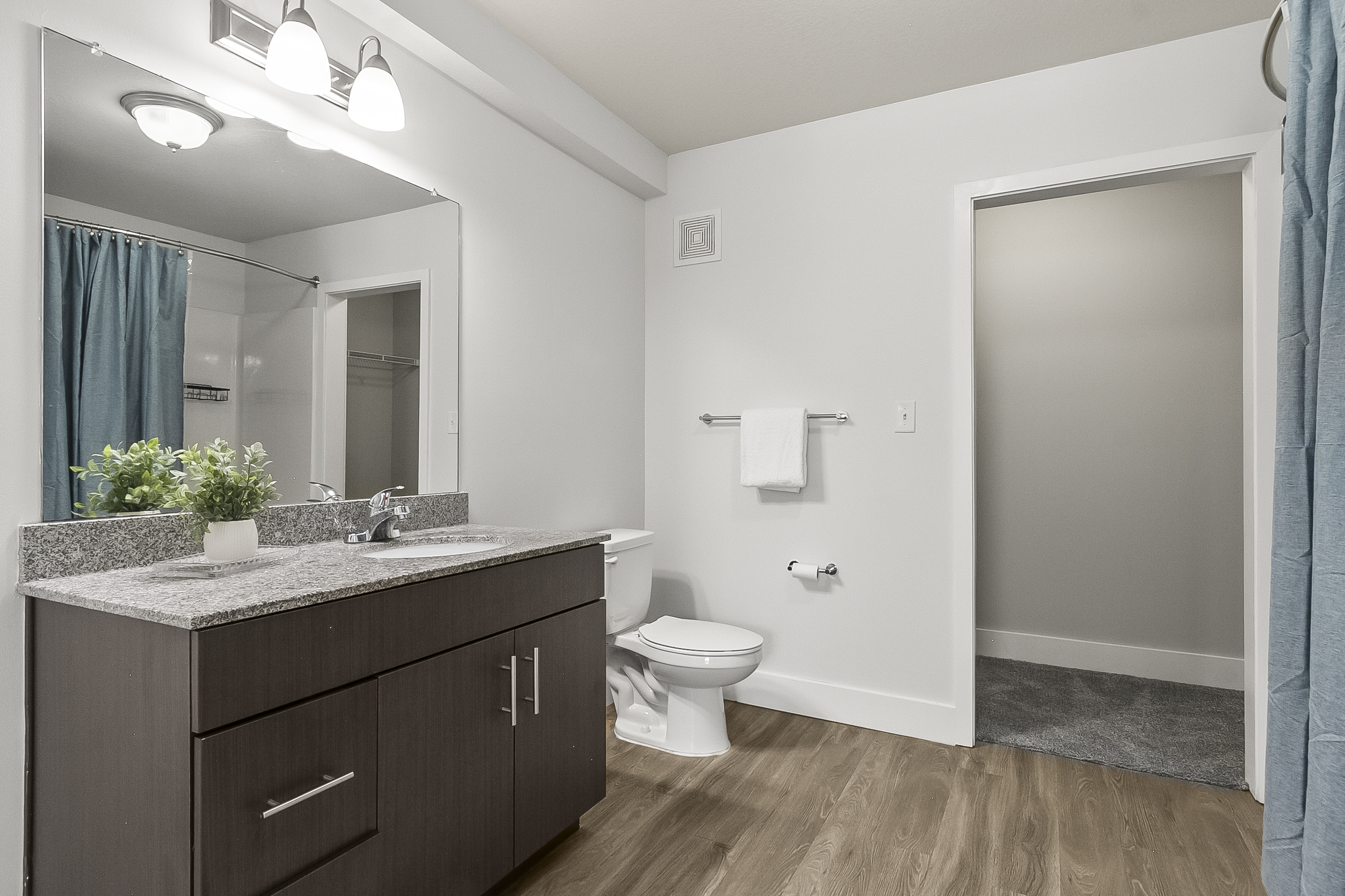 Master Bathroom 1