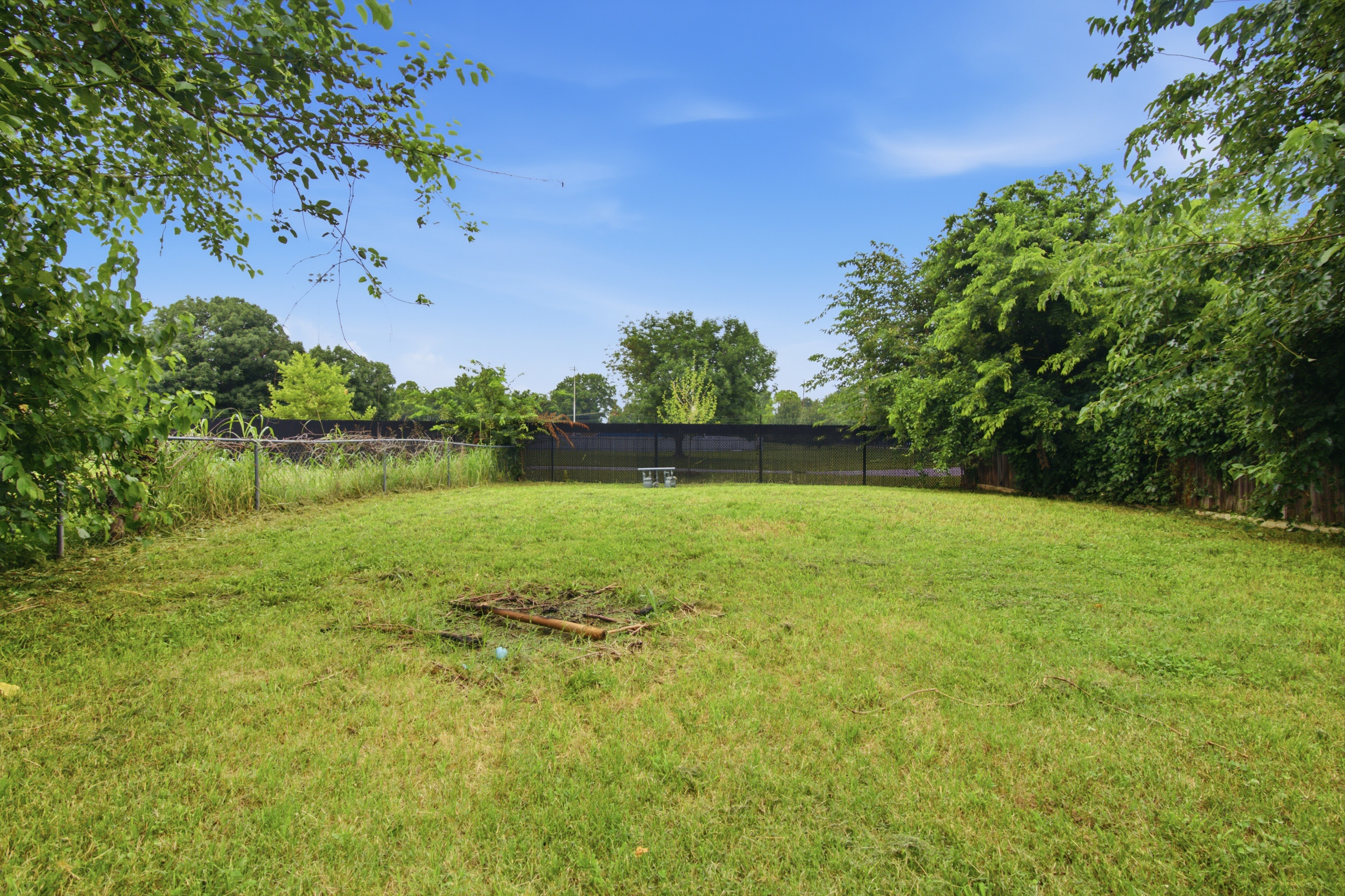 Backyard