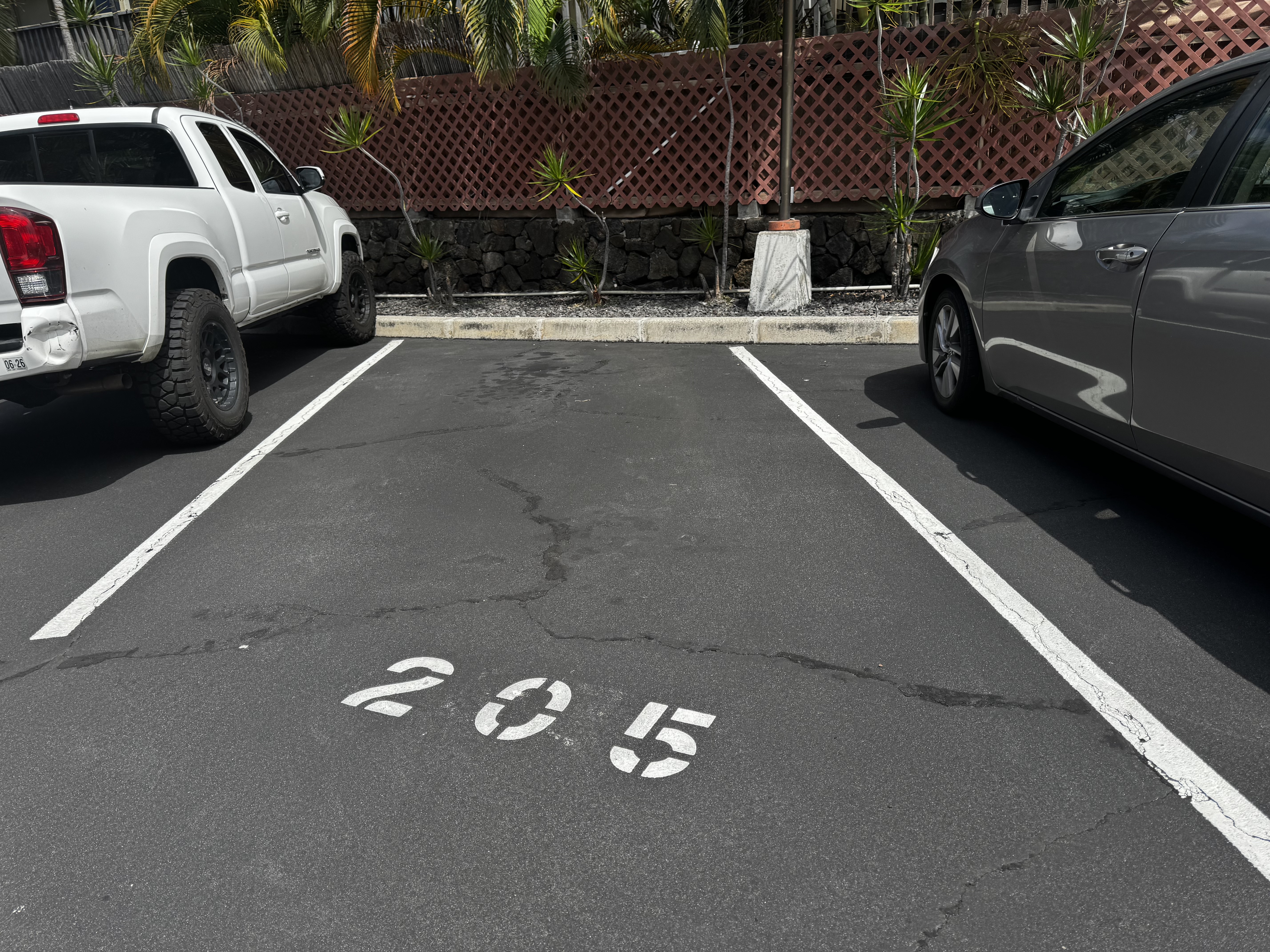 Parking stall number 205 painted on the pavement