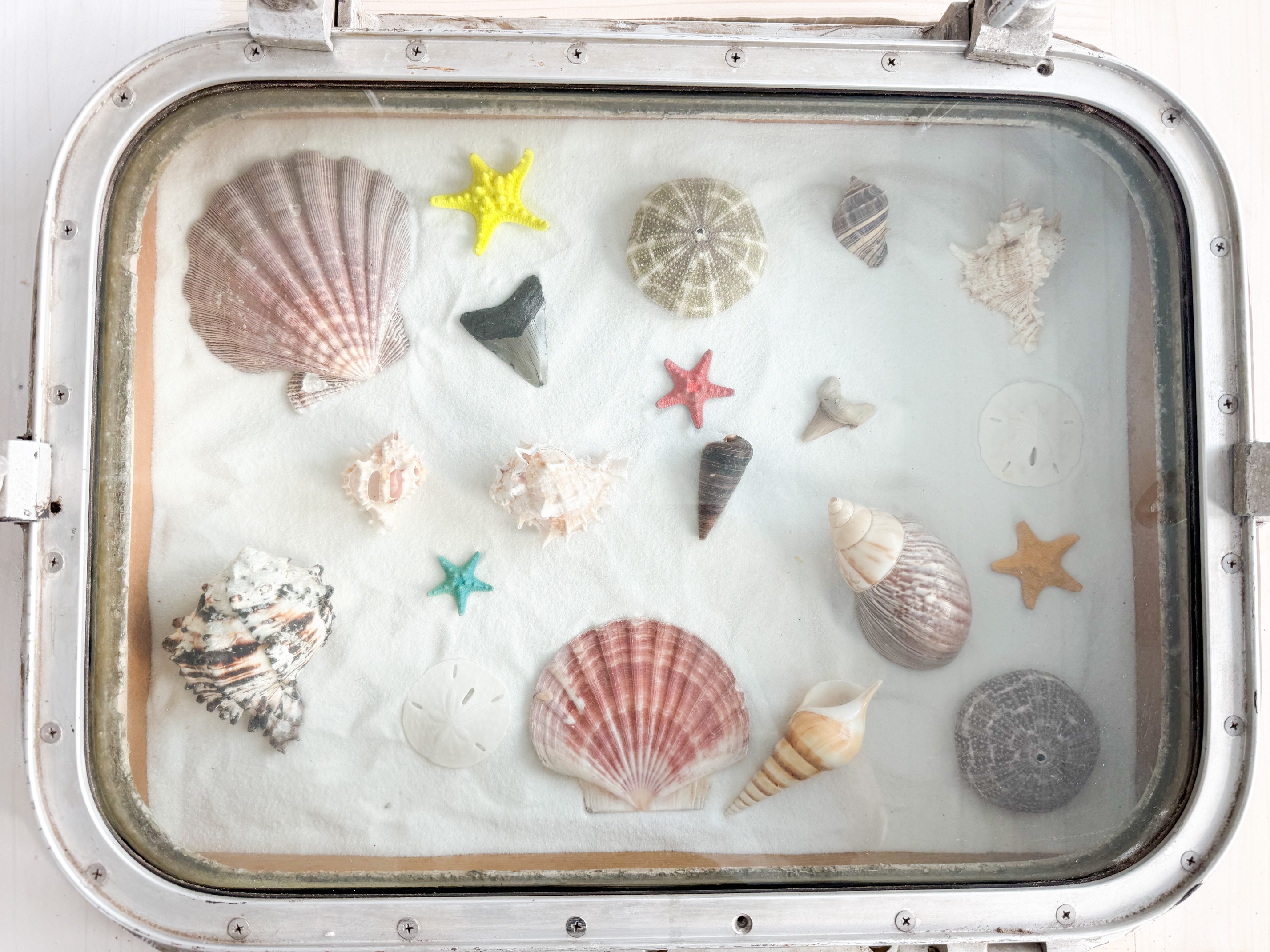 Porthole Coffee Table