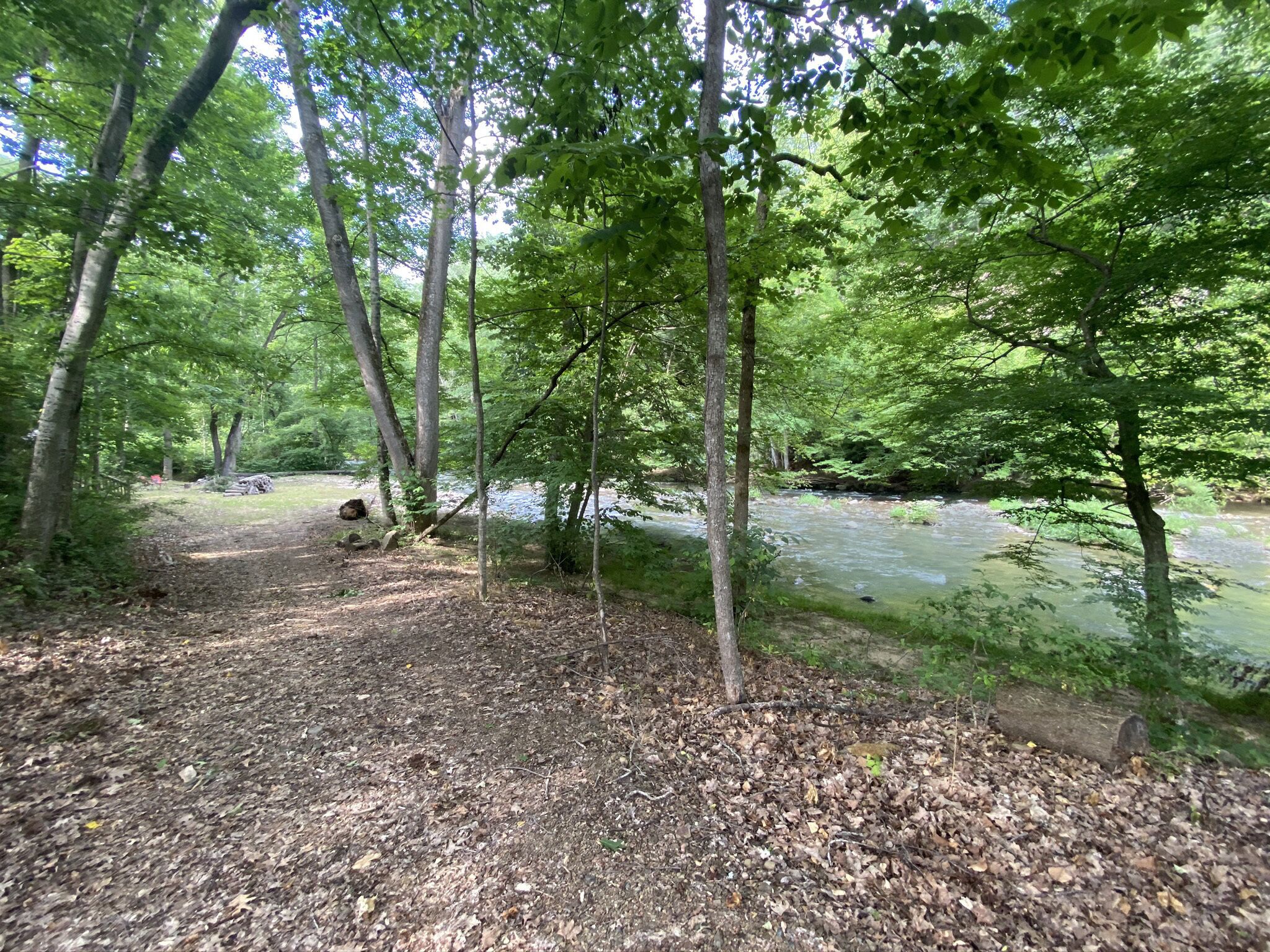 Private section of Spring Creek. Nap in hammocks, picnic, fish, tube & explore