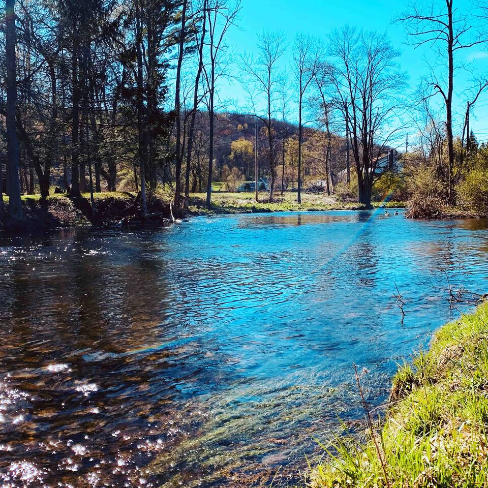 Picture taken in the back yard. Be sure to bring your fishing poles !