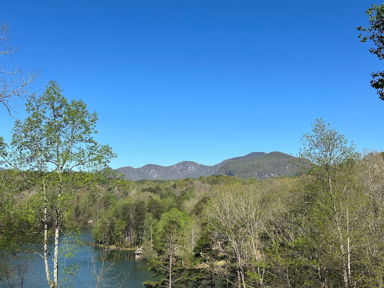Spring view from cabin balcony