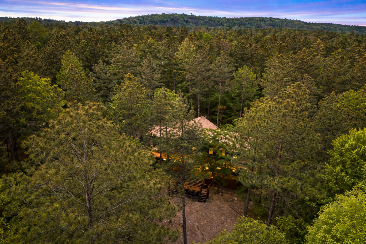 Where the forest meets the sky, your hidden getaway.
