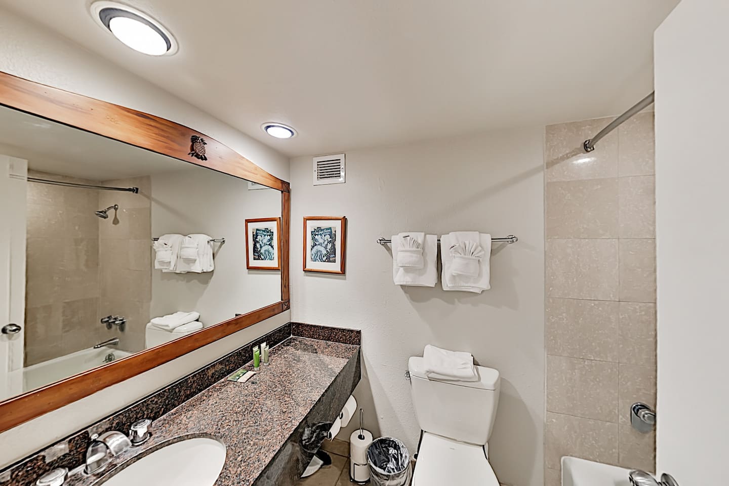 Large vanity counter space, bath tub/shower combo