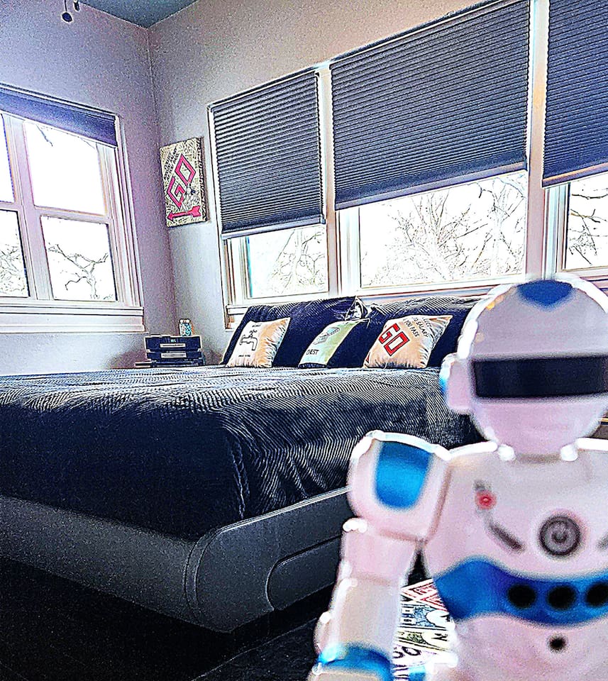 Howie SHOG loves his king bed. Great place to jump on the bed.