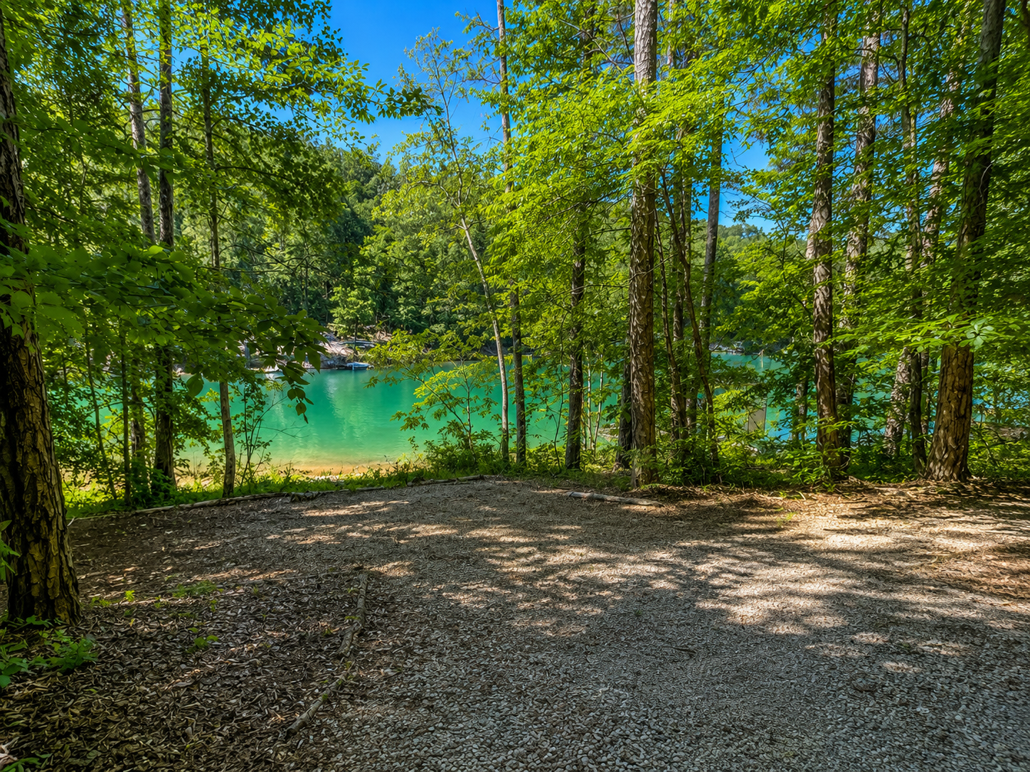 large cleared area by lake