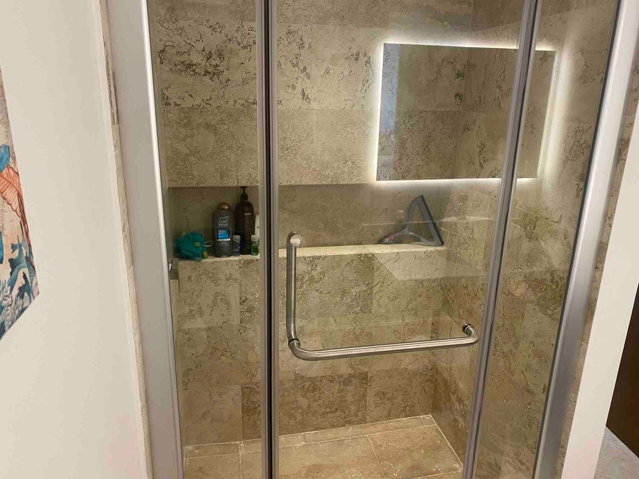 Master Bathroom Shower