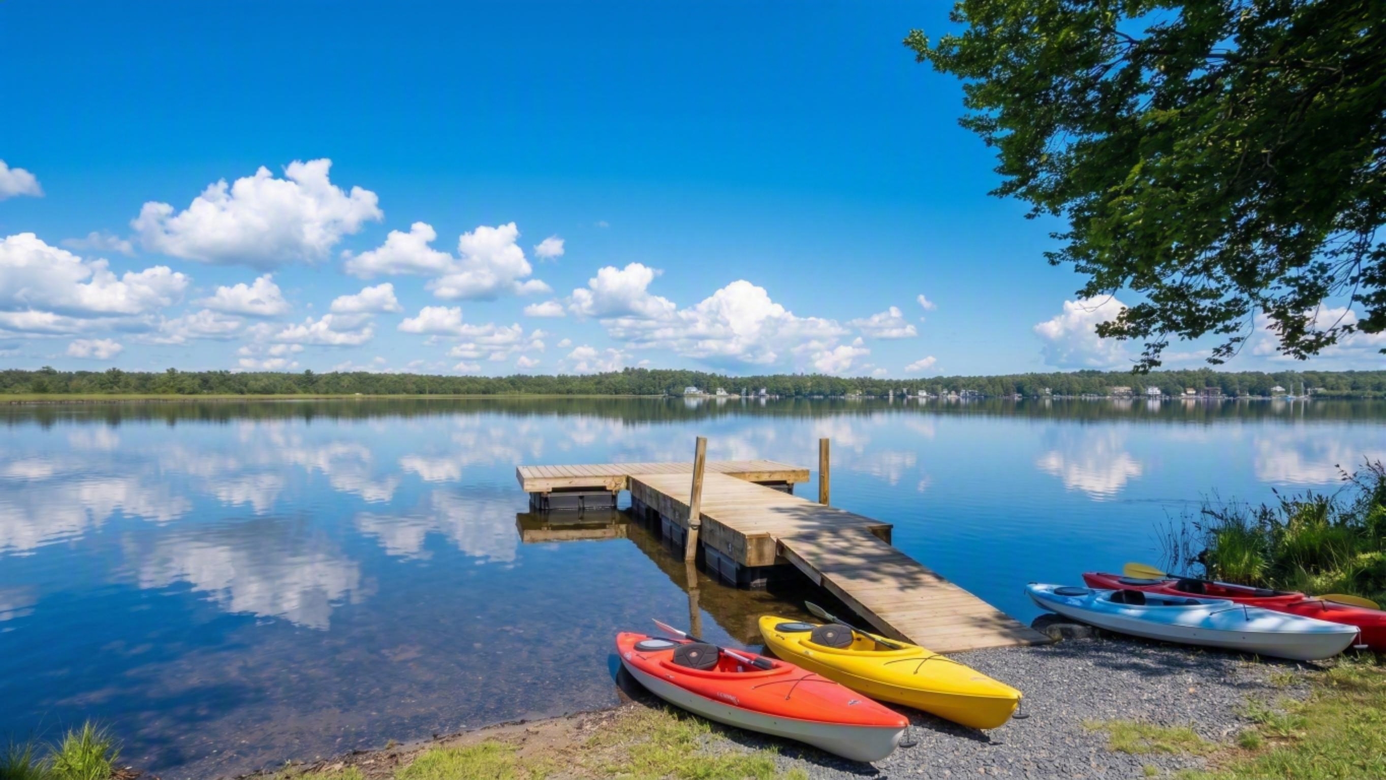 The dock, the kayaks, the whole point