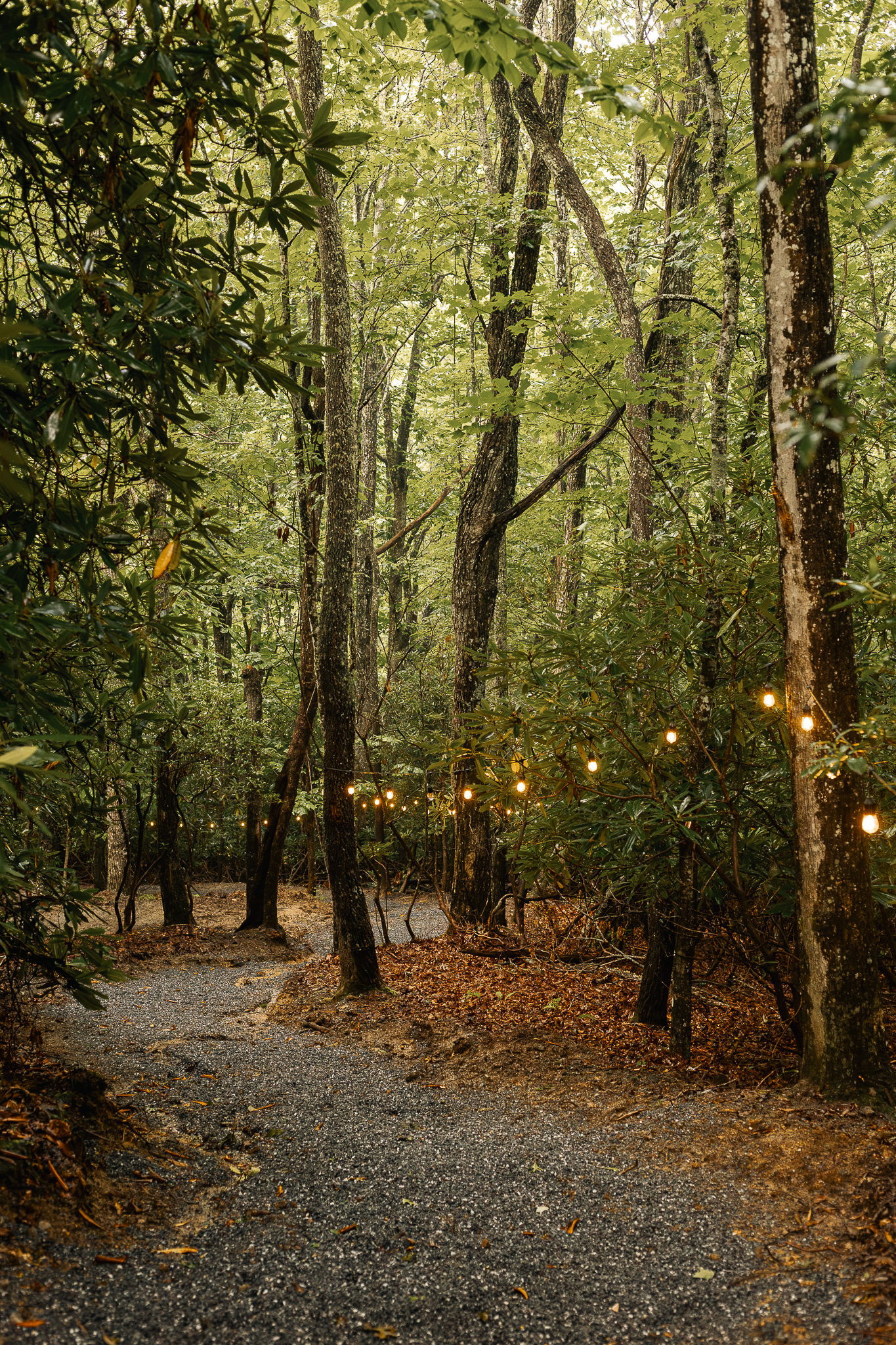 {Private Forest Setting} Step outside and find yourself surrounded by mature trees, rhododendrons, and the lush landscape of Pisgah Forest.