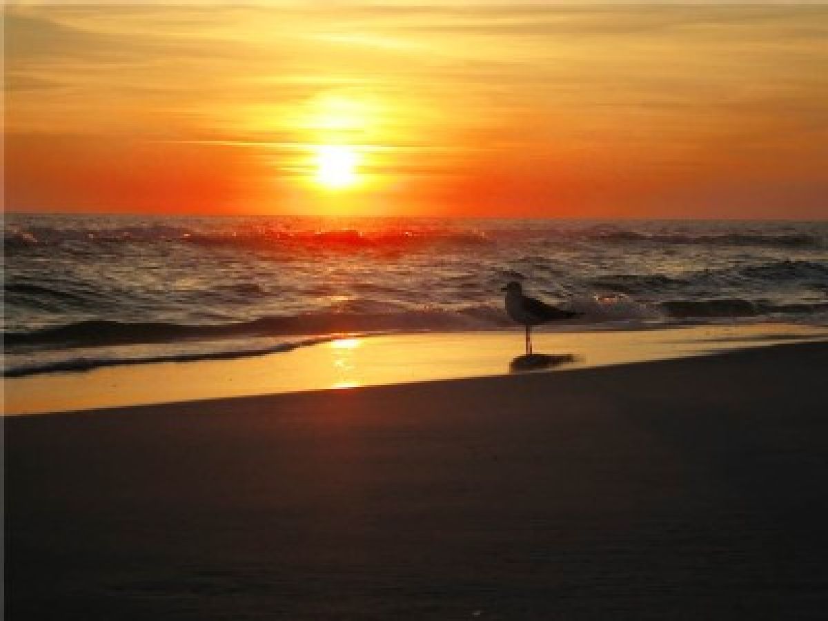Sunset on the Gulf beach at Sandestin, a tram ride from the front door