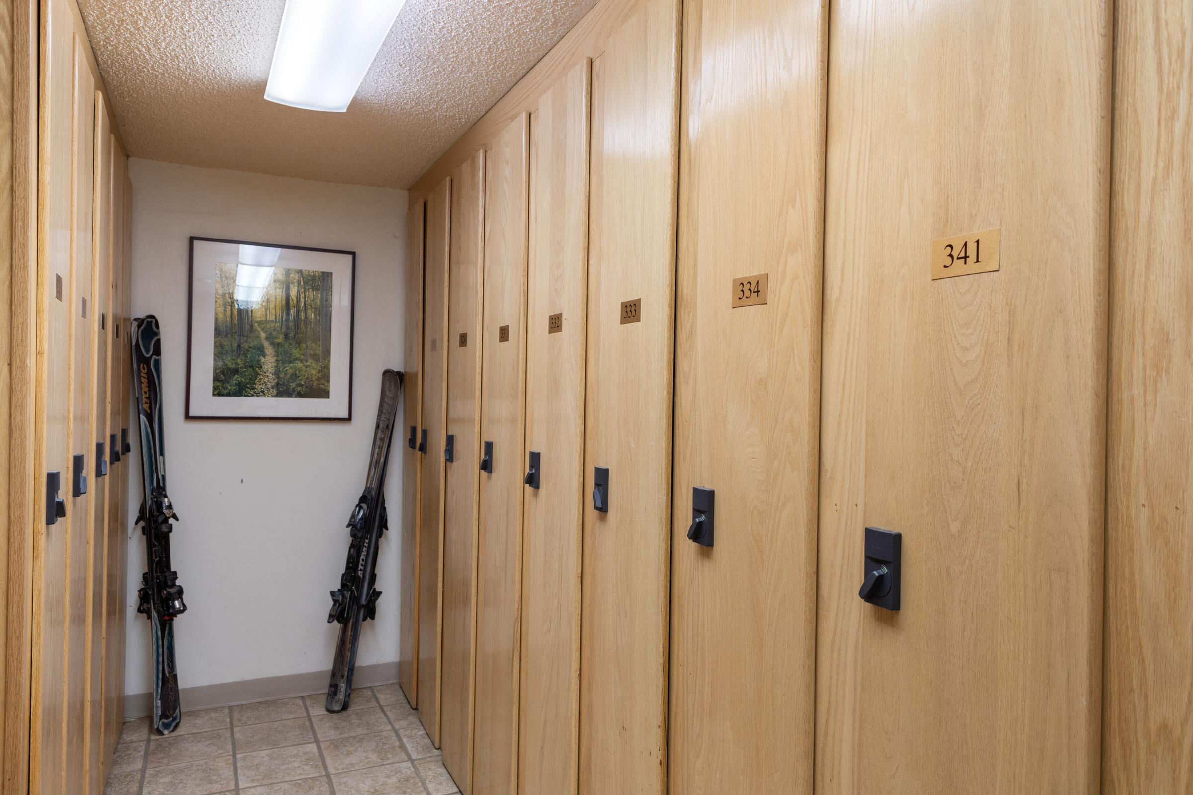Communal Ski Storage