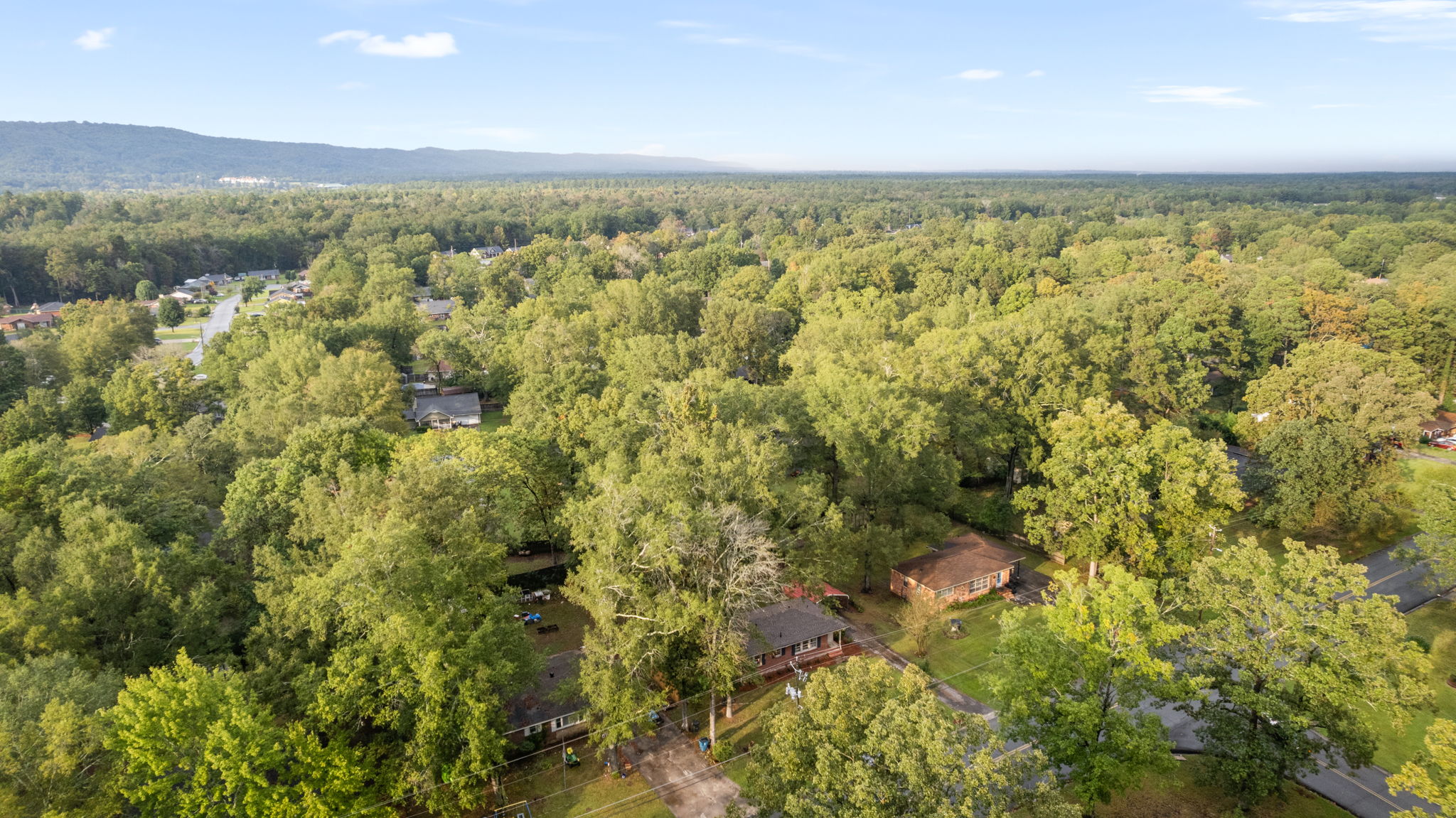 Aerial View of The Cottage on Elliott