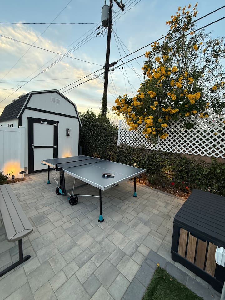 Backyard Ping Pong Table