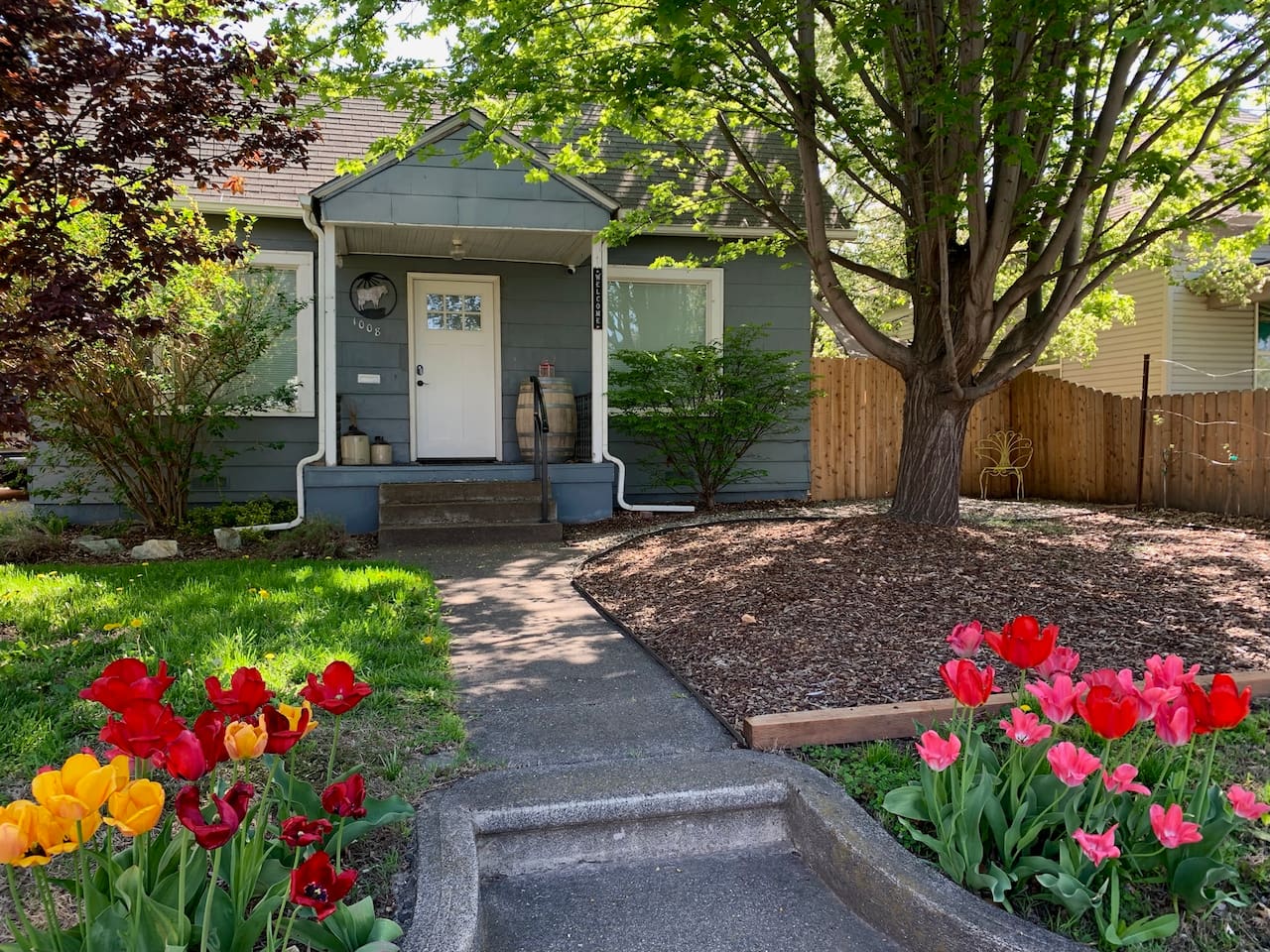 Quaint and cozy entrance & shaded front yard. 