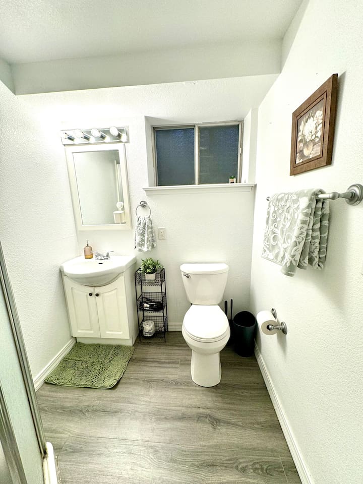 Basement bathroom 