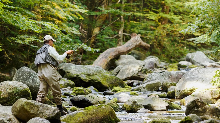 Many rivers nearby offer fishing for trout and other species