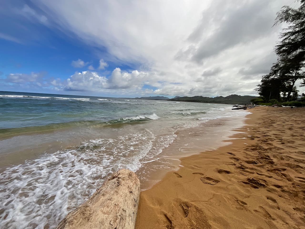 The beach in front of the condo.