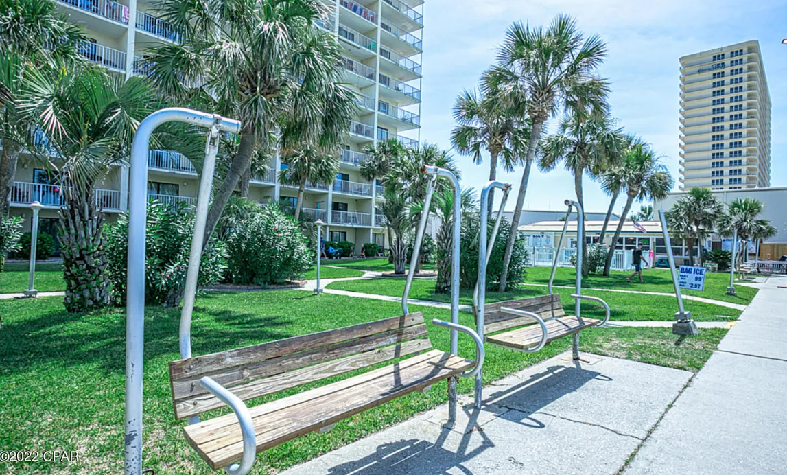 Beachfront Swings