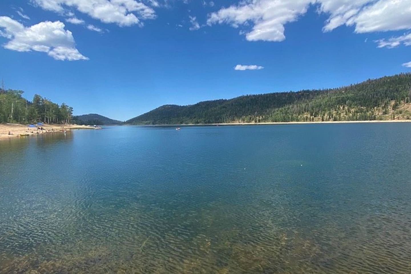 Navajo Lake great for fishing, boating and mountain bike trails