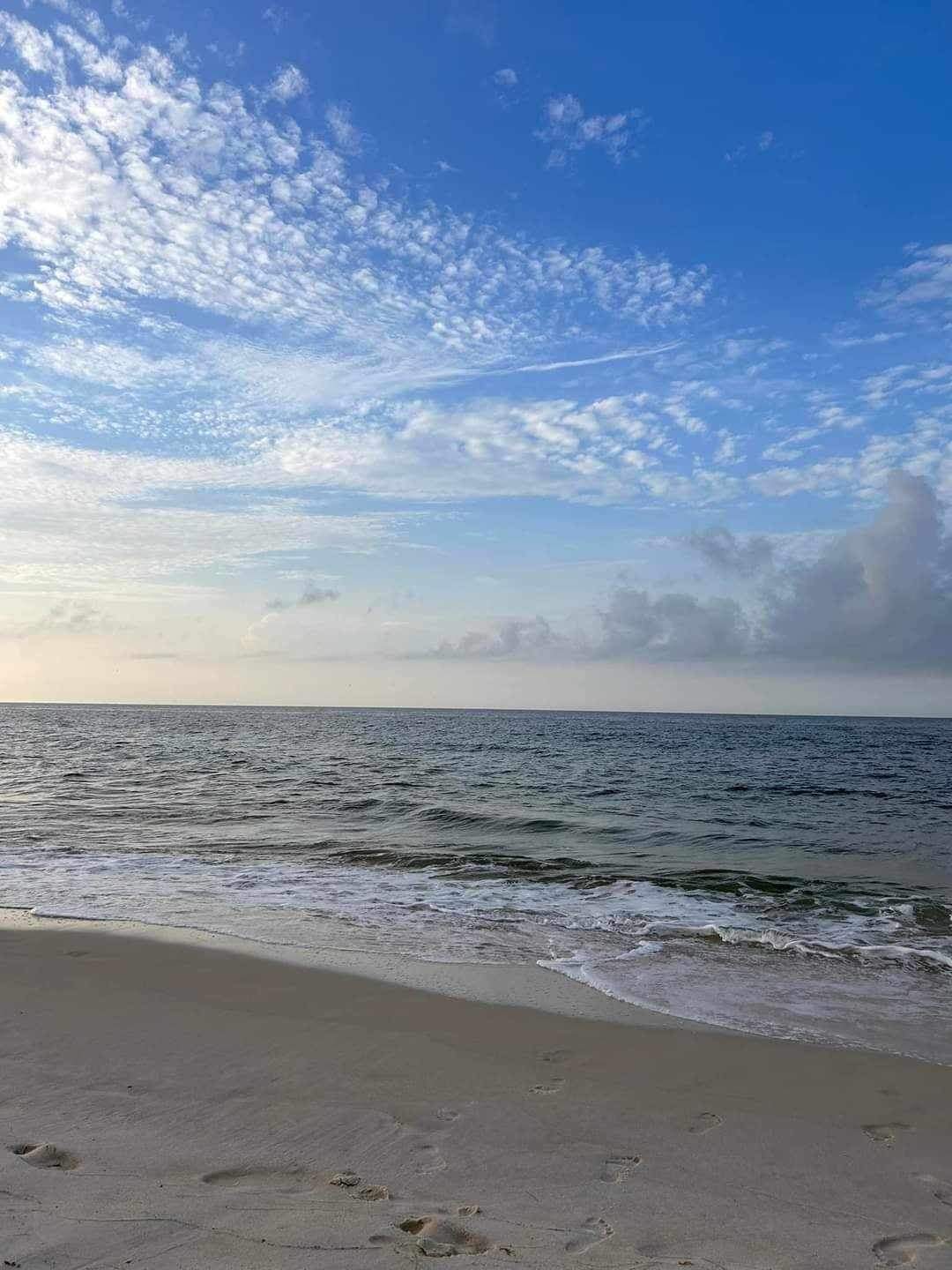 Sunny Day at the Beach