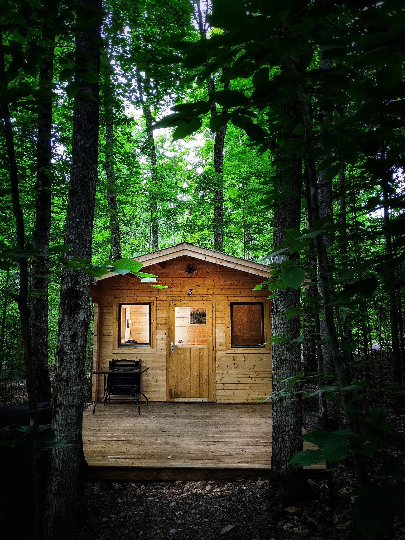 Cabins in the woods