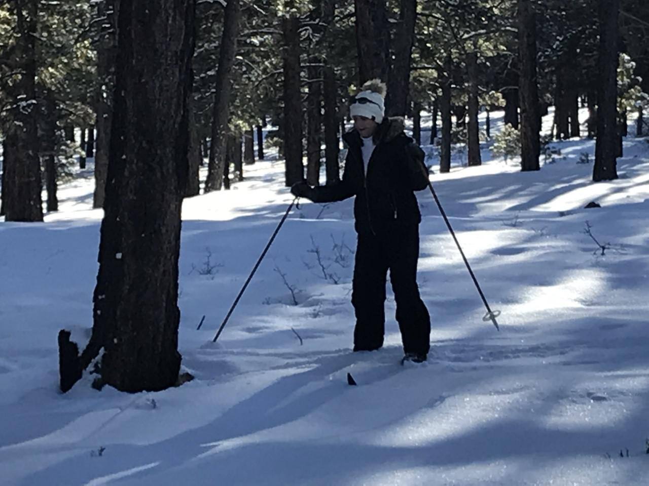 Cross Country Skiing