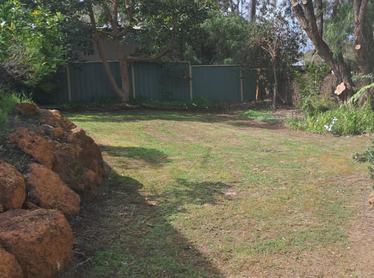 Large Backyard