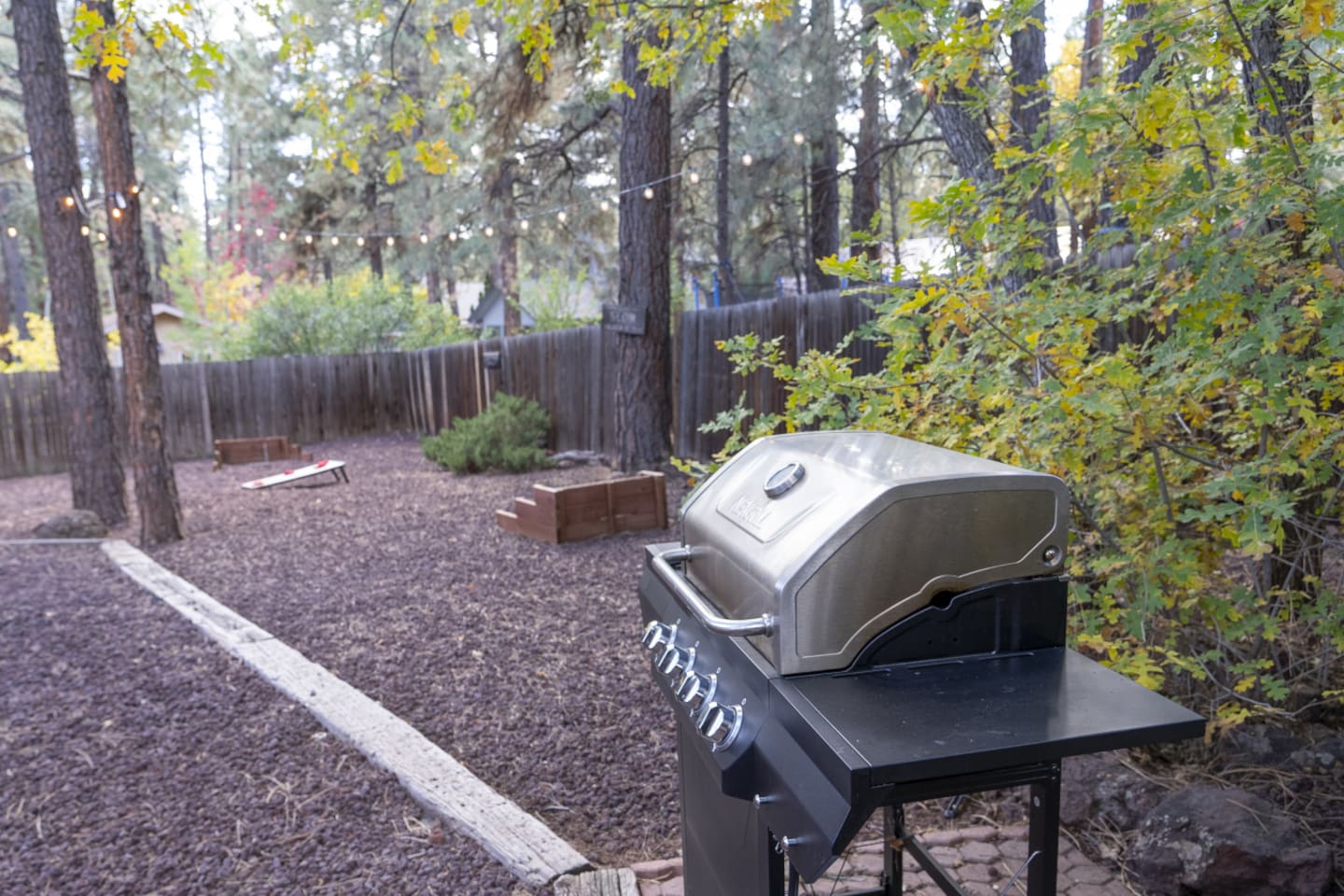 Backyard BBQ area with tall pines, privacy fencing, and games for relaxed outdoor time.