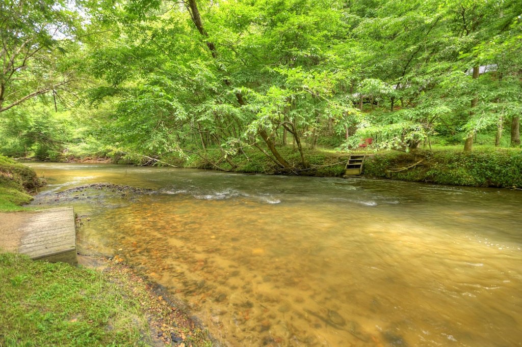 Amazing creek flowing right out your back yard. Easy mostly flat access!