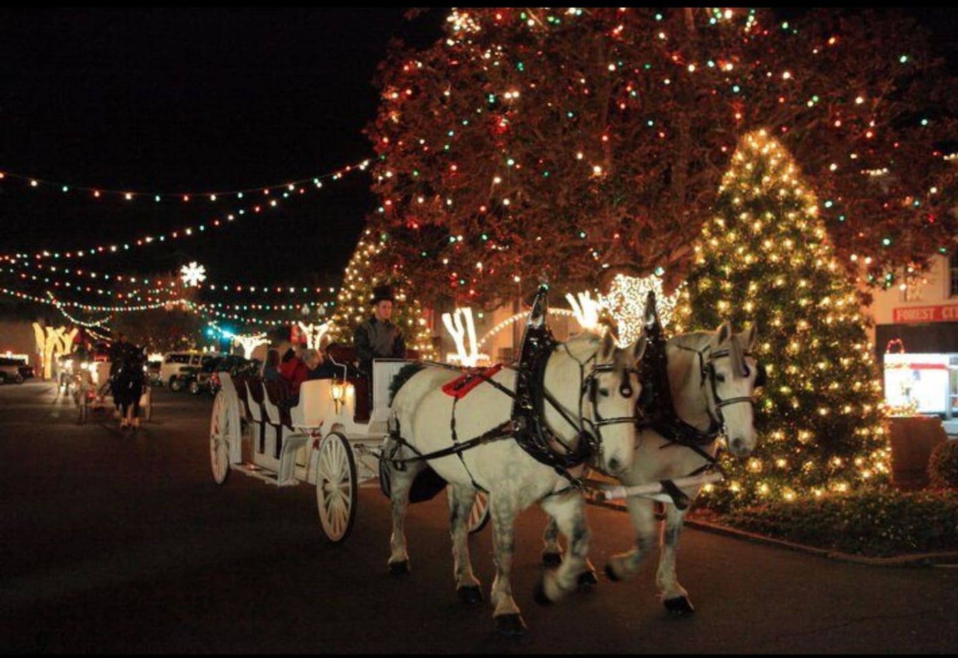 All surrounding mountain towns have Christmas lights and shows