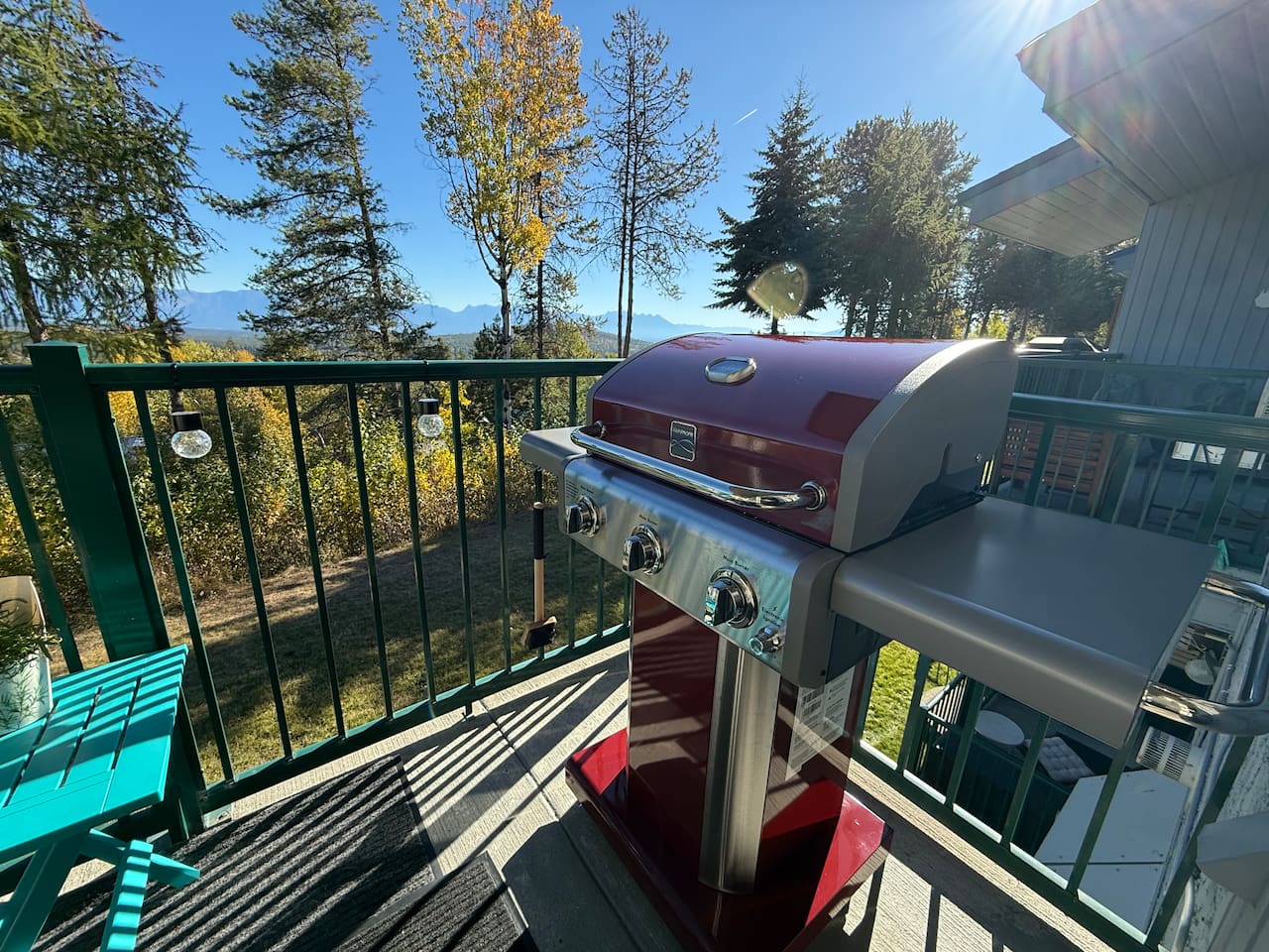 BBQ while enjoying the view!