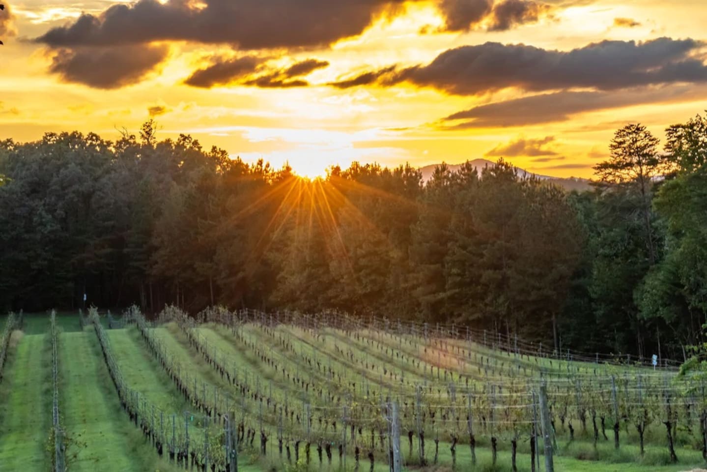 There are several wineries within an hour's drive